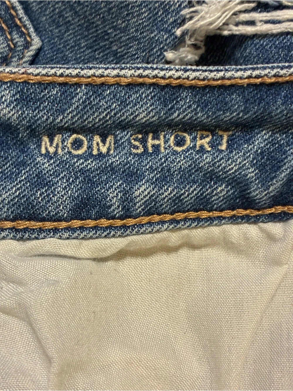American Eagle Denim Shorts